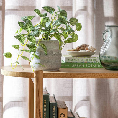 Argos Habitat Artificial Green Topiary Fern Plant - 11cm- Buy online at McGrocer