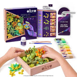 Argos Okto Sensory Art Succulents Kit- Buy online at McGrocer