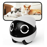 Argos Enabot Rola Mini Pet Companion Robot- Buy online at McGrocer