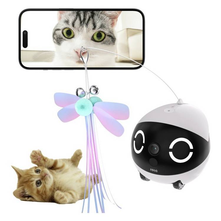 Enabot Rola Mini mobile pet companion robot, UK version
