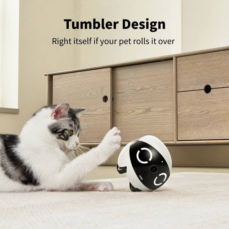 Enabot Rola Mini mobile pet companion robot, UK version