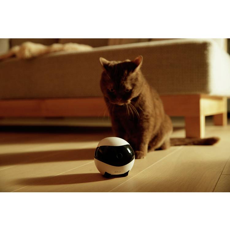 Enabot Ebo pet companion robot with HD camera, imported from the UK