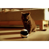Enabot Ebo pet companion robot with HD camera, imported from the UK