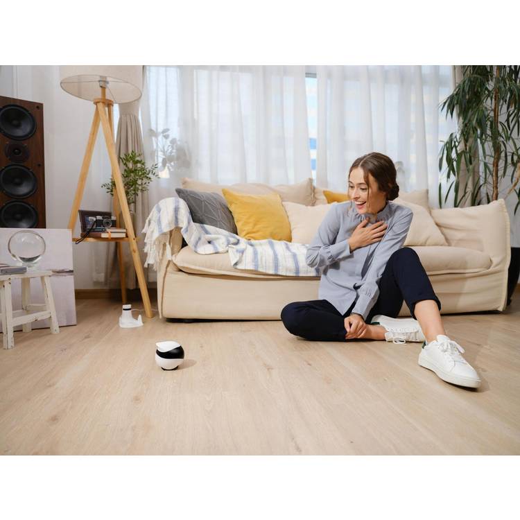 Enabot Ebo pet companion robot with HD camera, imported from the UK