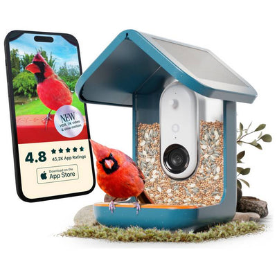 Argos Bird Buddy Smart Bird Feeder Pro - Blue- Buy online at McGrocer