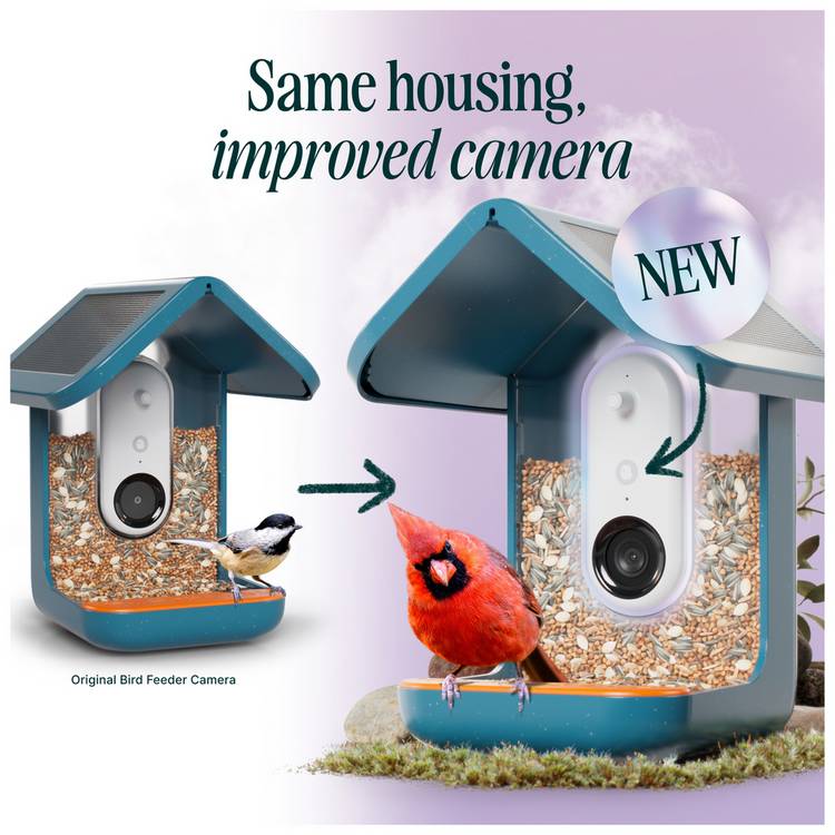 Bird Buddy smart bird feeder Pro Blue - British product