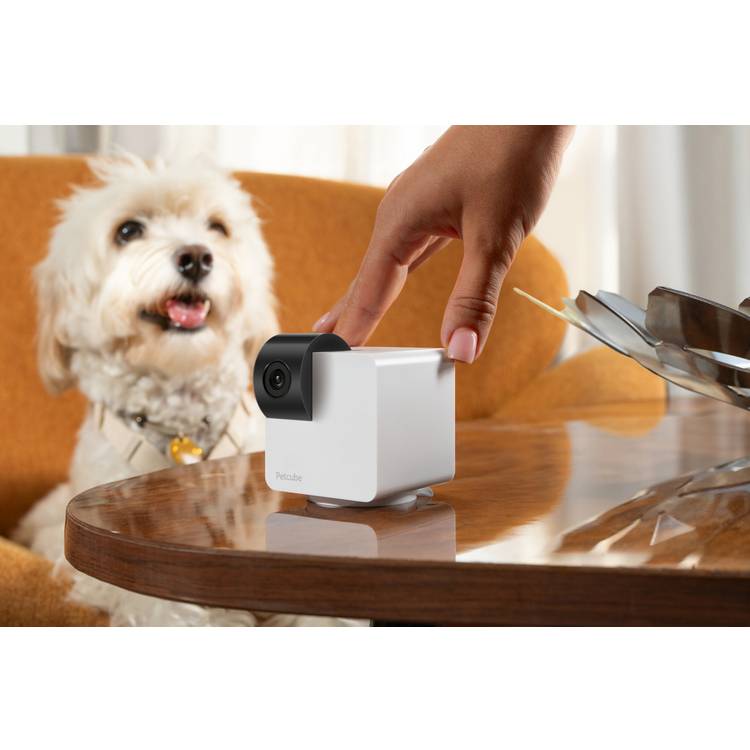 Petcube Interactive Pet Camera 360° - British product