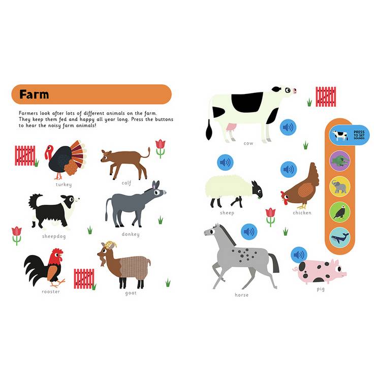 Igloo Books My First Animals children's picture book (British brand)