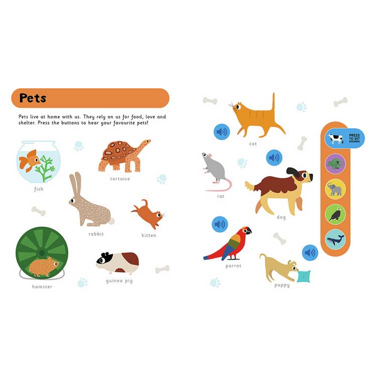 Igloo Books My First Animals children's picture book (British brand)