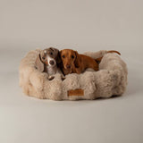 Argos Scruffs Alpine Champagne Dog Bed Medium- Buy online at McGrocer