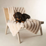 Scruffs Aspen dog pet blanket medium, imported from the UK