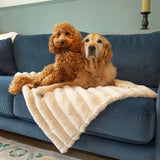 Scruffs Aspen dog pet blanket medium, imported from the UK