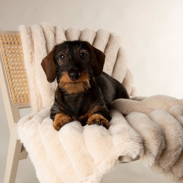 Scruffs Aspen dog pet blanket medium, imported from the UK