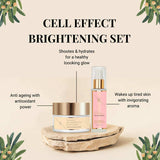ErthSkin Vitamin C Moisturiser and Serum 50ml 60ml - British product