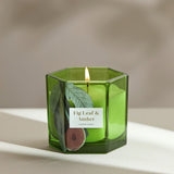 Argos Home fig leaf amber candle with green glass holder (British brand)