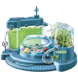 Clementoni Ant City Set science kit (British brand)