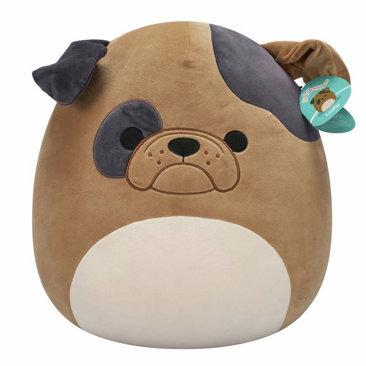 Squishmallows Loafer bulldog plush 16 inch, imported from the UK