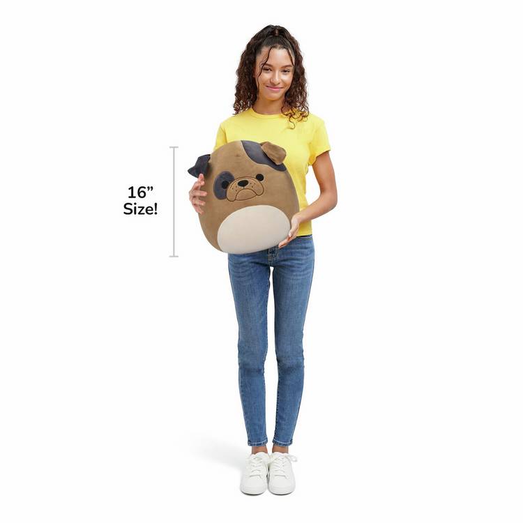 Squishmallows Loafer bulldog plush 16 inch, imported from the UK