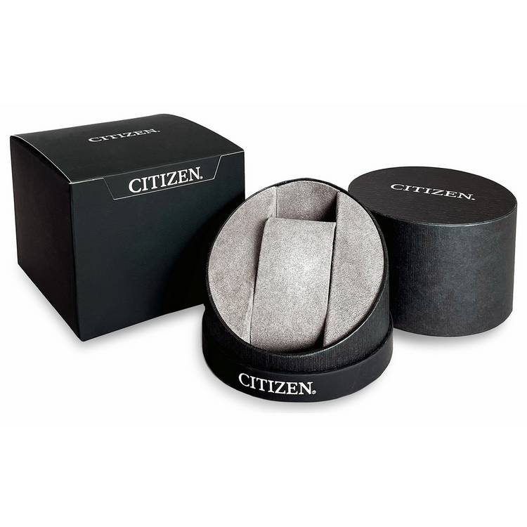 Citizen Eco-Drive gold tone stainless steel watch, UK version