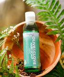 Africas Best Olive And Clove Oil Hair Therapy - British product