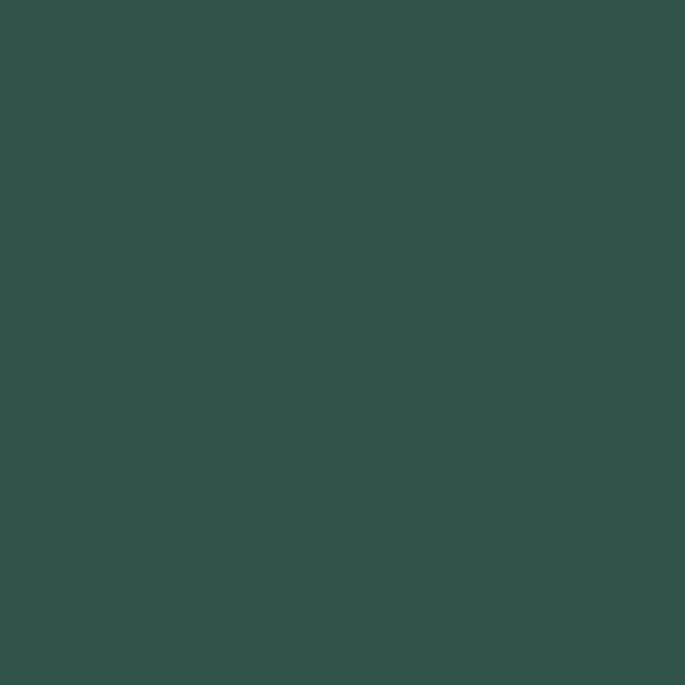 Cath Kidston Vintage Car Emulsion paint 2.5L (British brand)