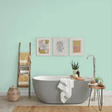 Johnstone's bathroom paint Jade 2.5L, imported from the UK