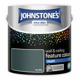Johnstone's Feature Wall Matt Paint in Ivy Sky 2.5L (British brand)