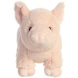 Argos Aurora Eco Nation 9.5 Inch Pig Soft Toy- Buy online at McGrocer