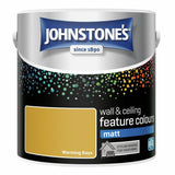 Argos Johnstone's Feature Wall Matt Paint Warming Rays 2.5L- Buy online at McGrocer