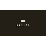 House of Marley Get Together Duo bluetooth bookshelf speakers (British brand)