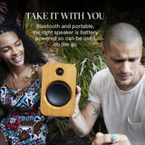House of Marley Get Together Duo bluetooth bookshelf speakers (British brand)