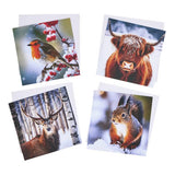 Argos Argos Home Pack of 24 Animal Image Christmas Cards- Buy online at McGrocer