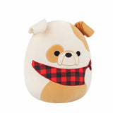 Squishmallows soft toy Brock bulldog 12 inch, imported from the UK