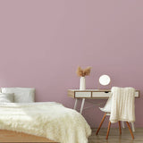 Superfresco Dream Big pink paint 2.5L - British product