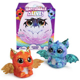 Argos Hatchimals Alive Mystery Hatch Draggle Electronic Pet- Buy online at McGrocer