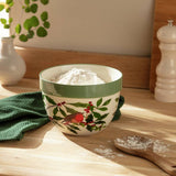 Argos Argos Home Robin Mixing Bowl- Buy online at McGrocer