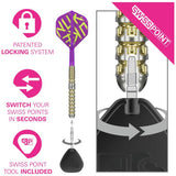 Target Luke Littler Prodigy 23g tungsten darts set (British brand)