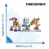 Paw Patrol cardboard cutout Skye Liberty Everest, imported from the UK