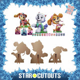 Paw Patrol cardboard cutout Skye Liberty Everest, imported from the UK
