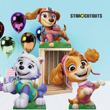 Paw Patrol cardboard cutout Skye Liberty Everest, imported from the UK