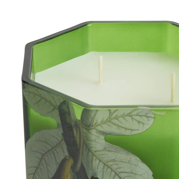 Argos Home fig leaf and amber multiwick candle, imported from the UK