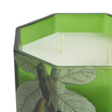 Argos Home fig leaf and amber multiwick candle, imported from the UK