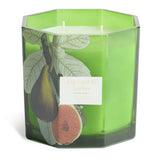 Argos Home fig leaf and amber multiwick candle, imported from the UK