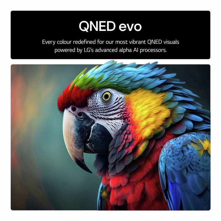 LG QNED evo AI 65-inch 4K MiniLED Smart TV (British brand)