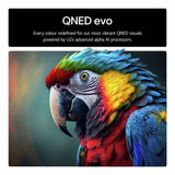 LG QNED evo AI 65-inch 4K MiniLED Smart TV (British brand)