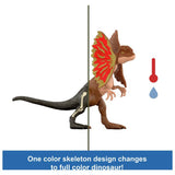 Mattel Jurassic World Dino Reveal dinosaur toy (British brand)