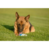 Outpaws mesh sponge ice lolly dog toy - British product