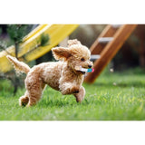 Outpaws mesh sponge ice lolly dog toy - British product
