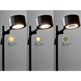 Nordlux Clyde adjustable wall light black, UK version
