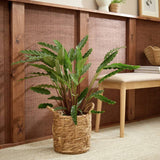 Argos Habitat Large Rattan Handle Planter- Buy online at McGrocer